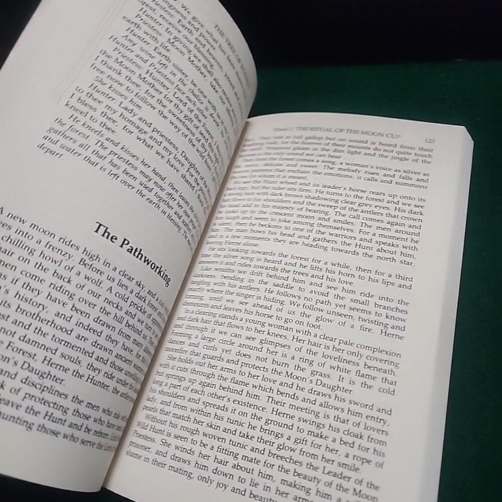 The Tree of Ecstasy: An Advanced Manual of s**ual Magic By Dolores Ashcroft - Picture 7 of 12